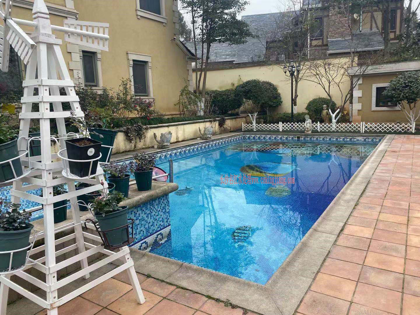 長(zhǎng)沙綠城青竹園李姐游泳池