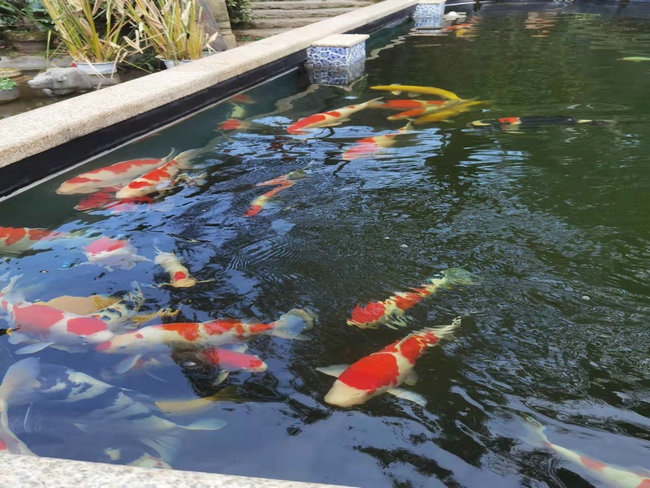 株洲醴陵李總魚池