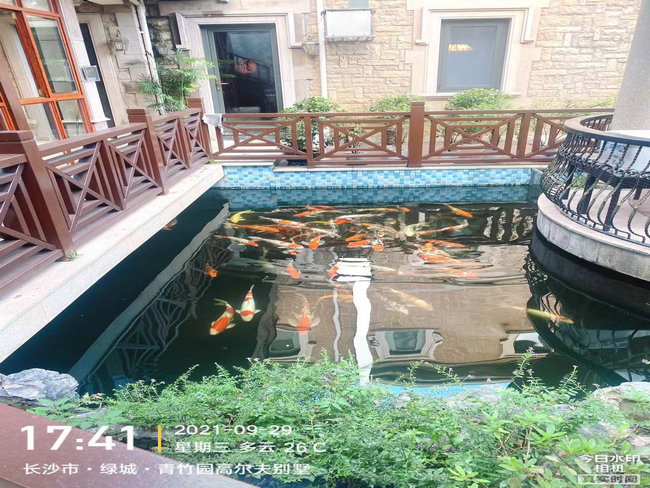 長沙青竹園譚總魚池