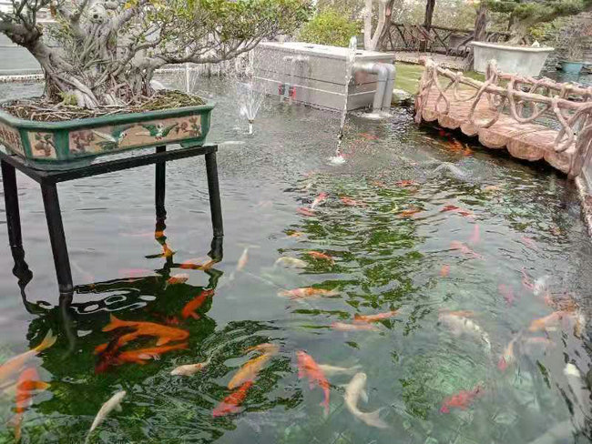 長沙別墅魚池